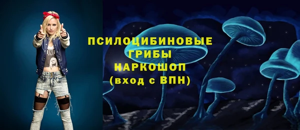 тгк Куровское