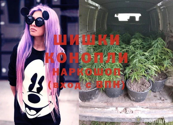 стаф Козловка