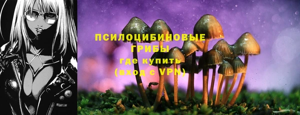 гашиш Кодинск