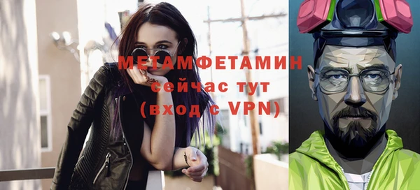 стаф Козловка