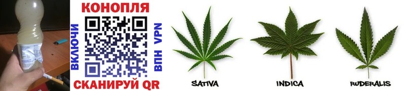 Канабис SATIVA & INDICA  хочу наркоту  Михайловка 